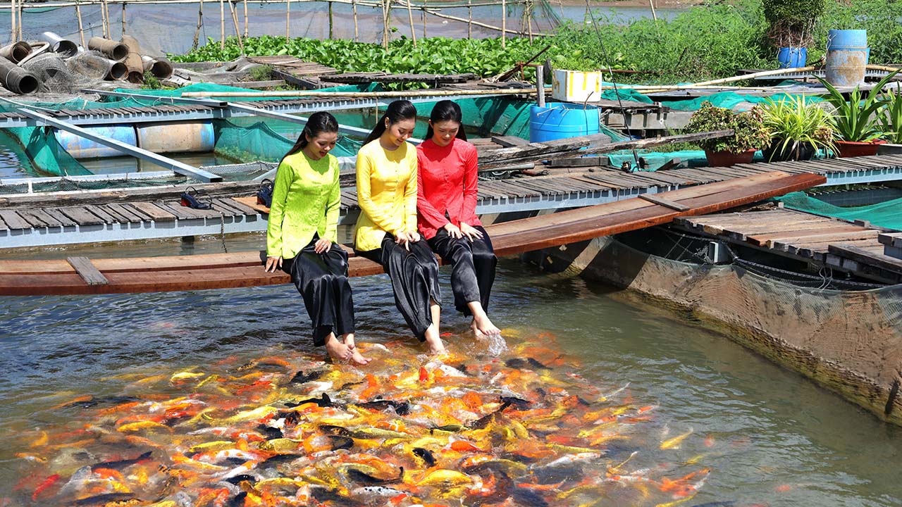 Cồn Sơn