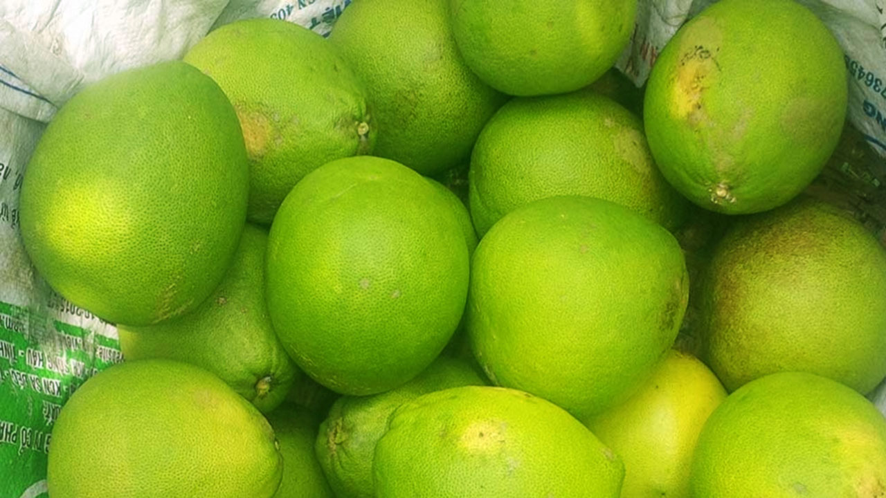 Đặc sản Vĩnh Long Bưởi Nam Roi