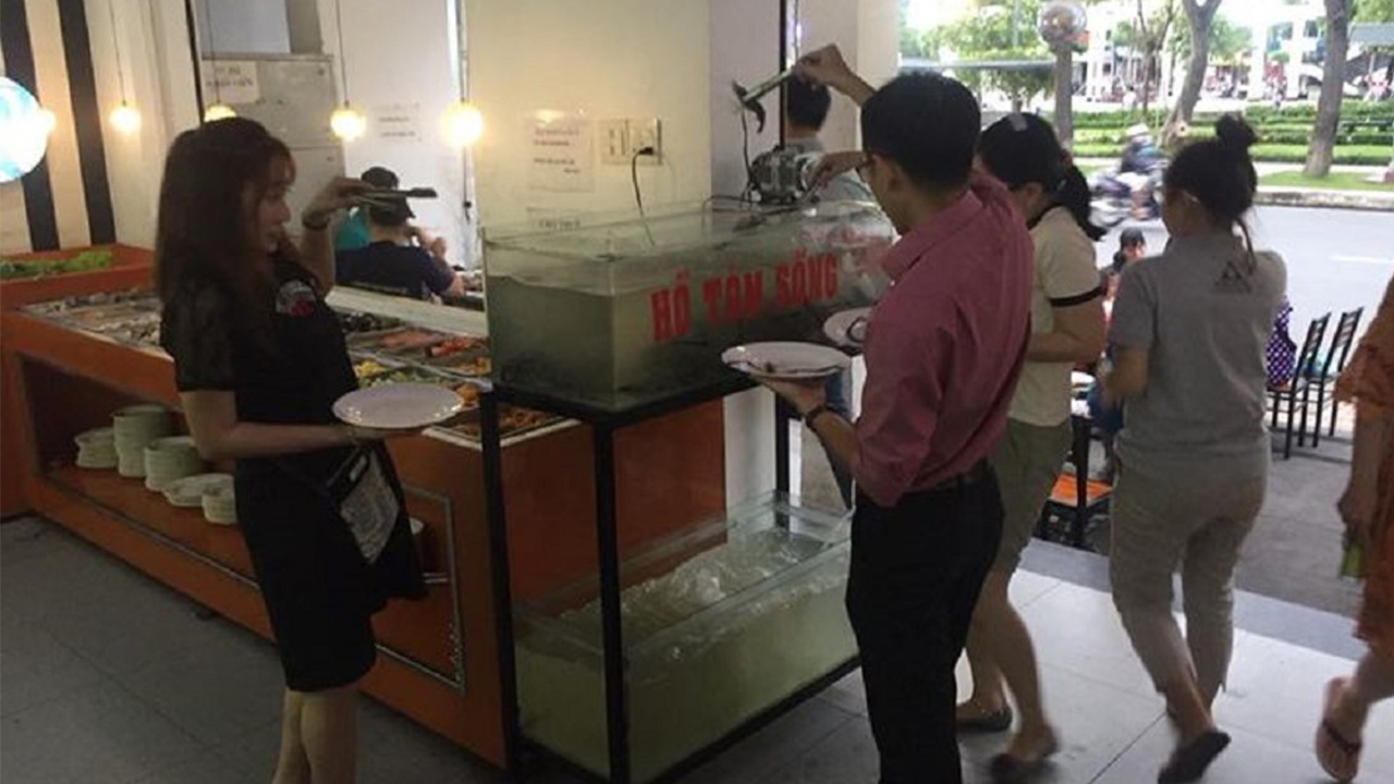 Trải nghiệm bắt tôm càng sống chỉ có tại Kotoba