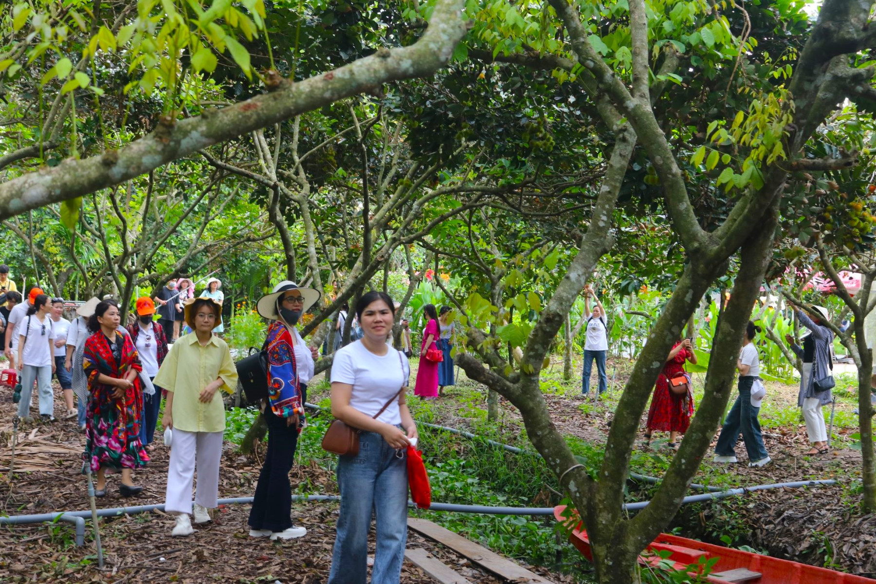 TOP KINH NGHIỆM DU LỊCH MÙA MƯA TẠI CẦN THƠ