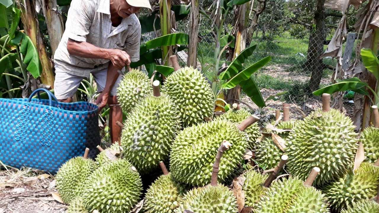 Ẩm thực Tiền Giang