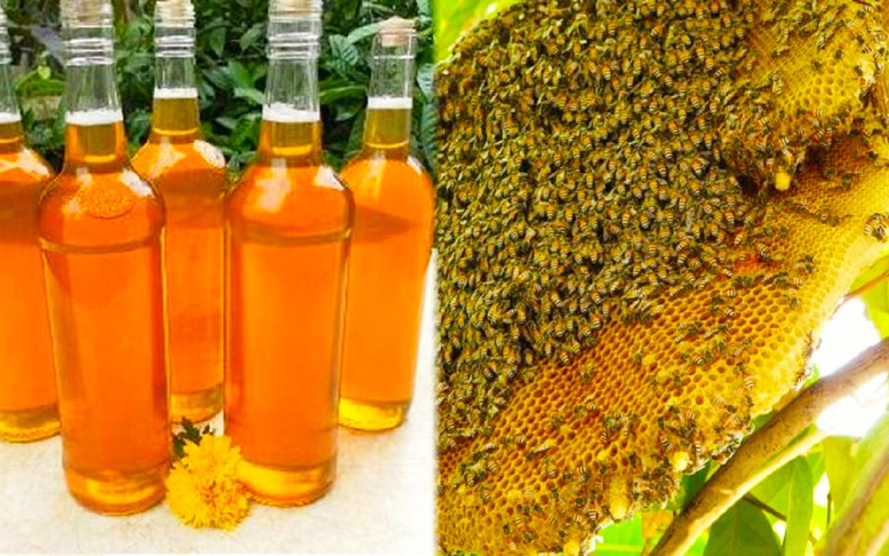 Mật ong rừng U Minh