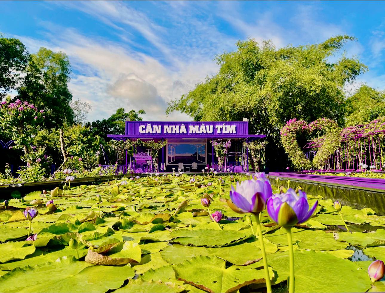 can-nha-mau-tim-can-tho