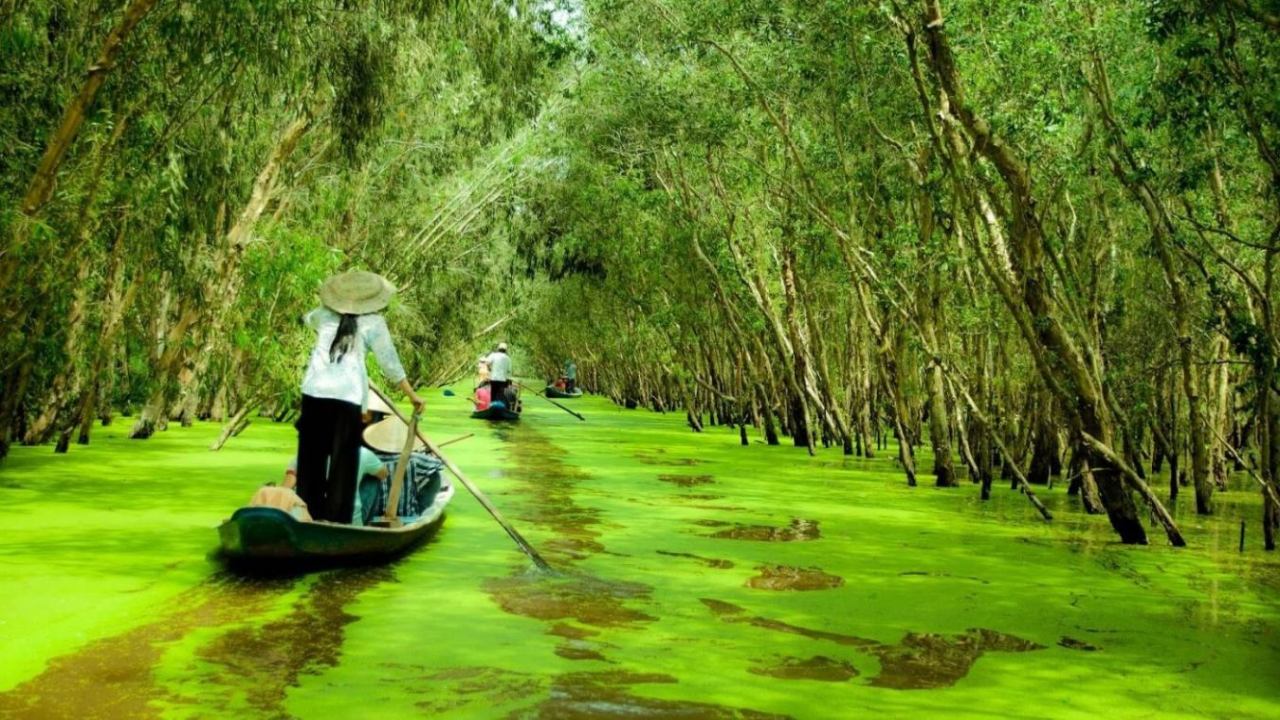 Rừng tràm Trà Sư