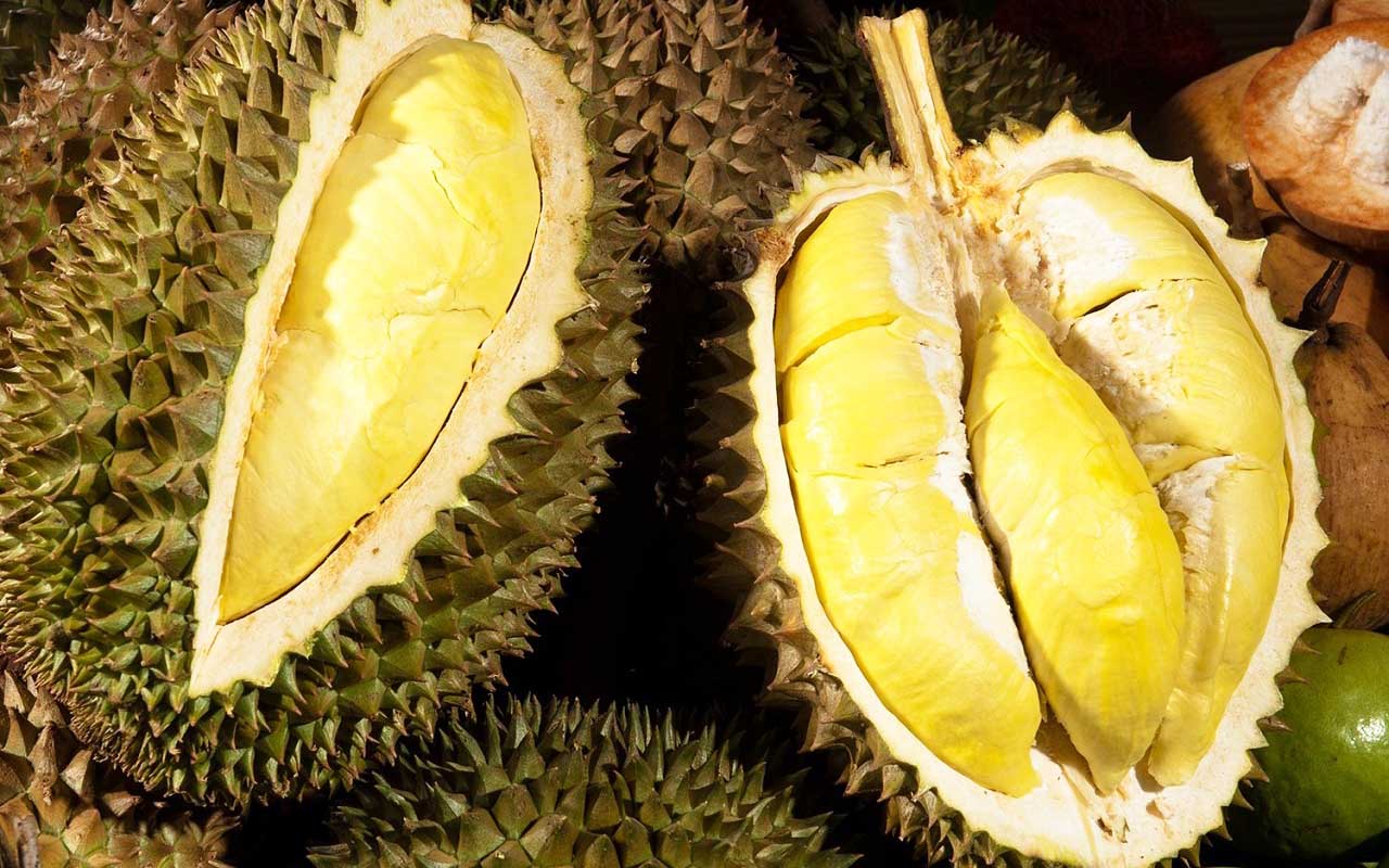 Sầu riêng Cái Mơn