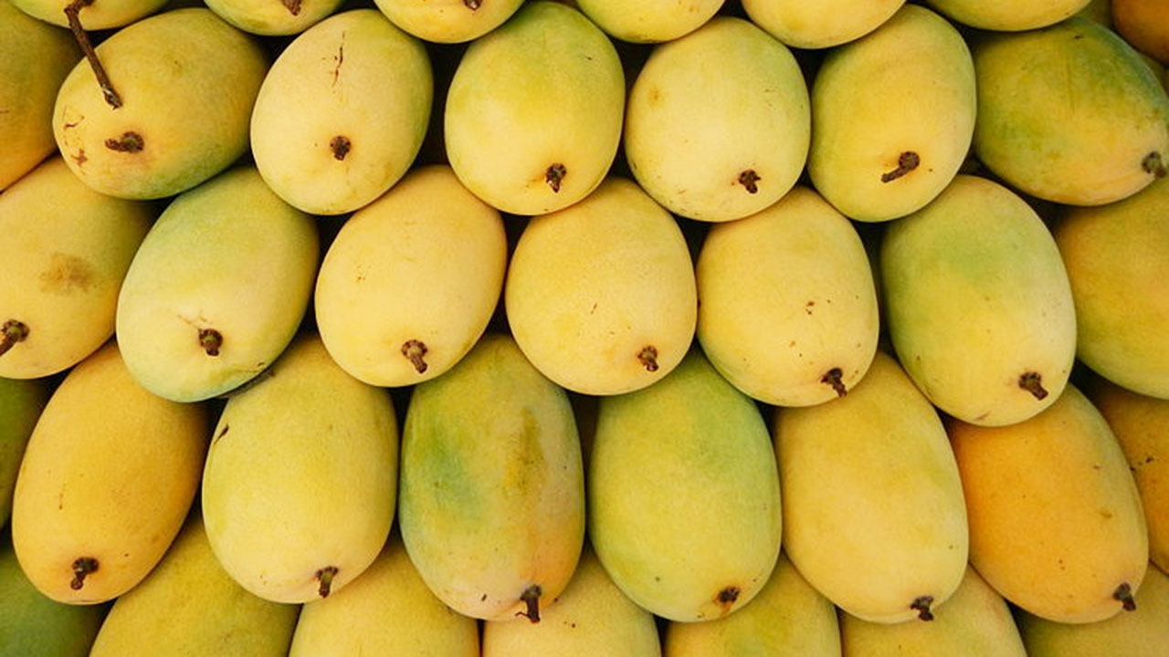 Đặc sản Tiền Giang là gì?