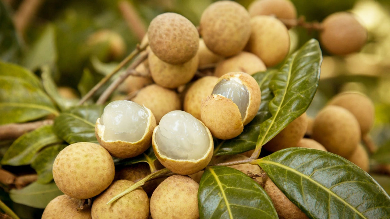 Đặc sản trái cây Tiền Giang