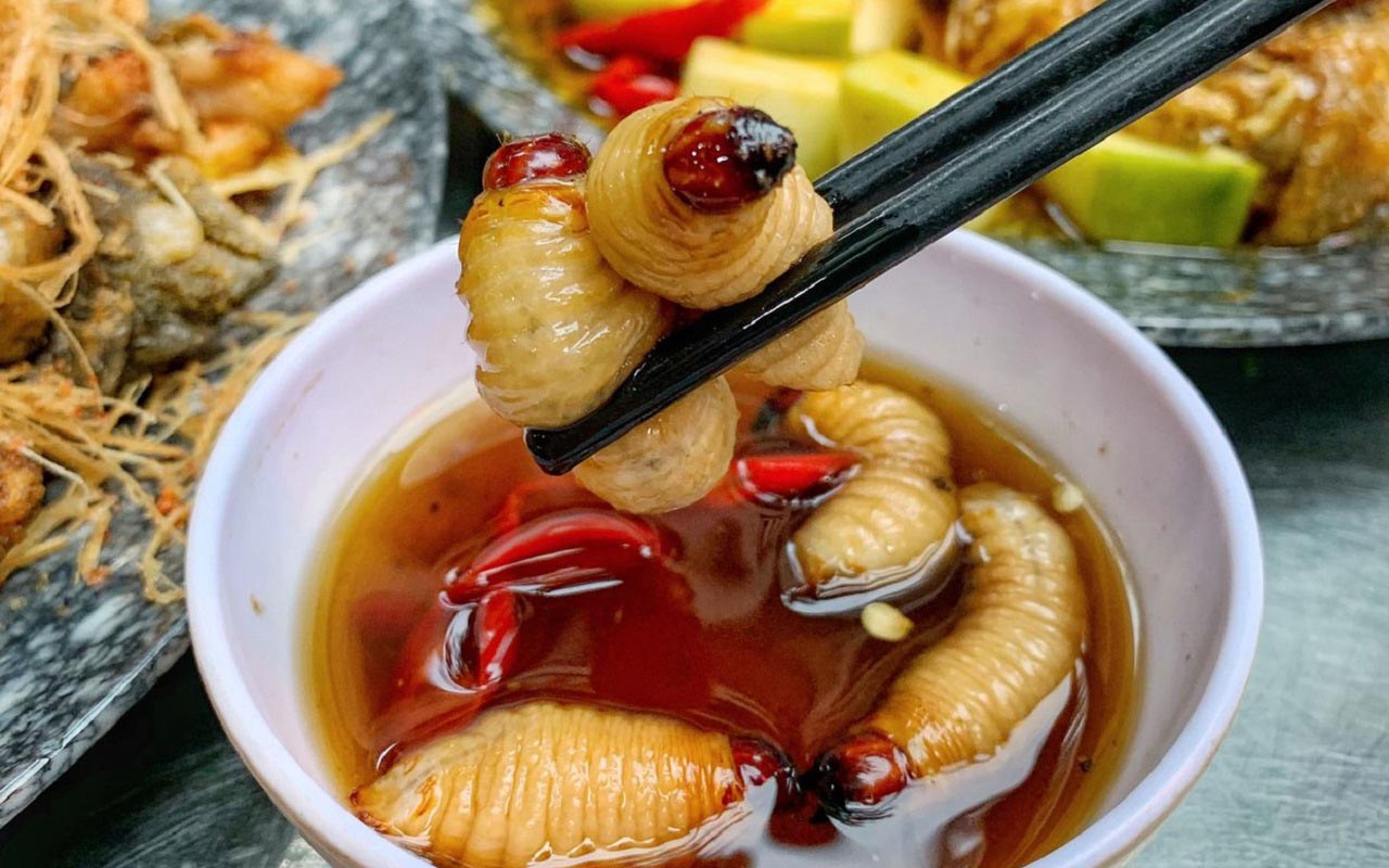 Đuông chà là Cà Mau