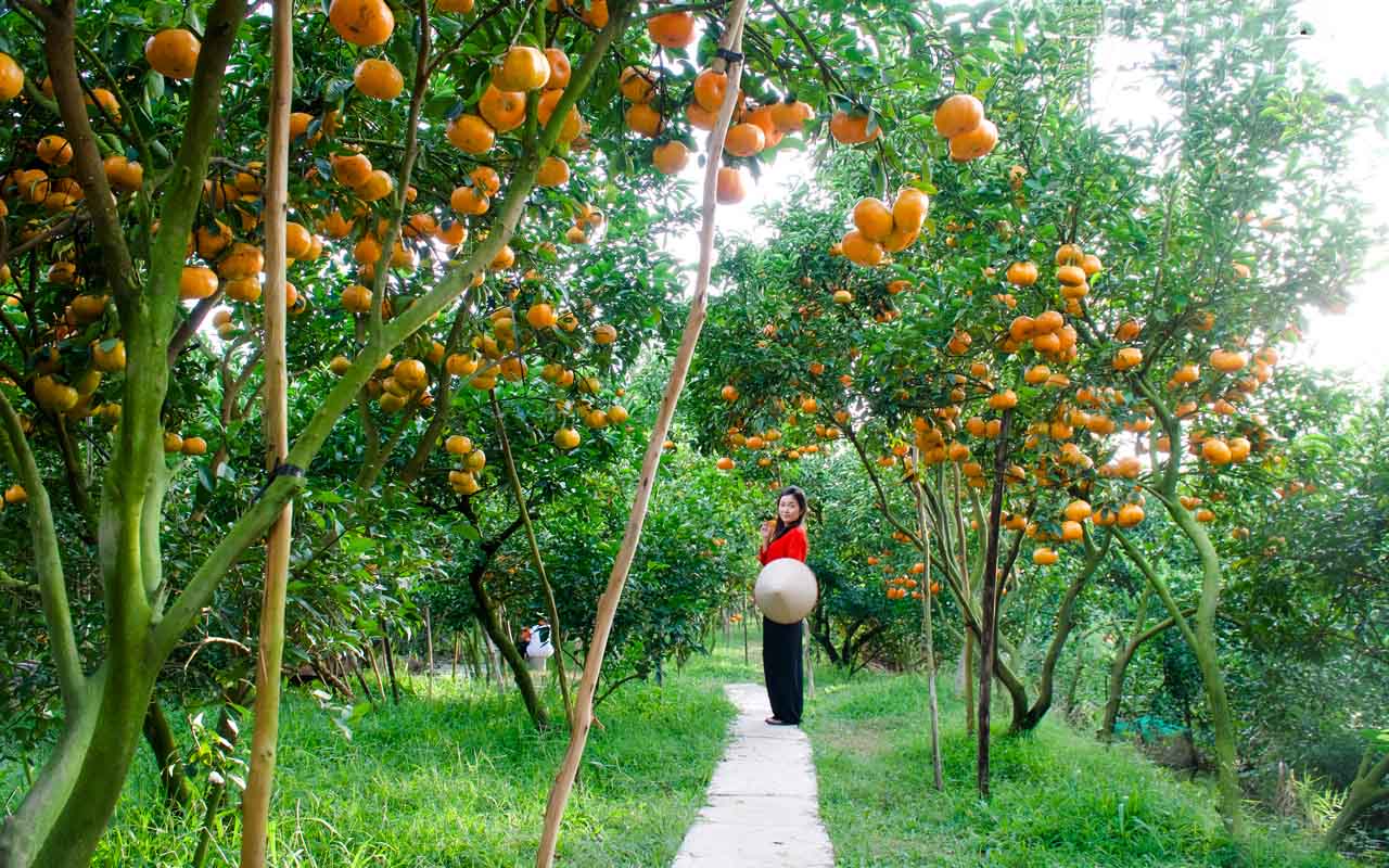 địa điểm du lịch đồng tháp