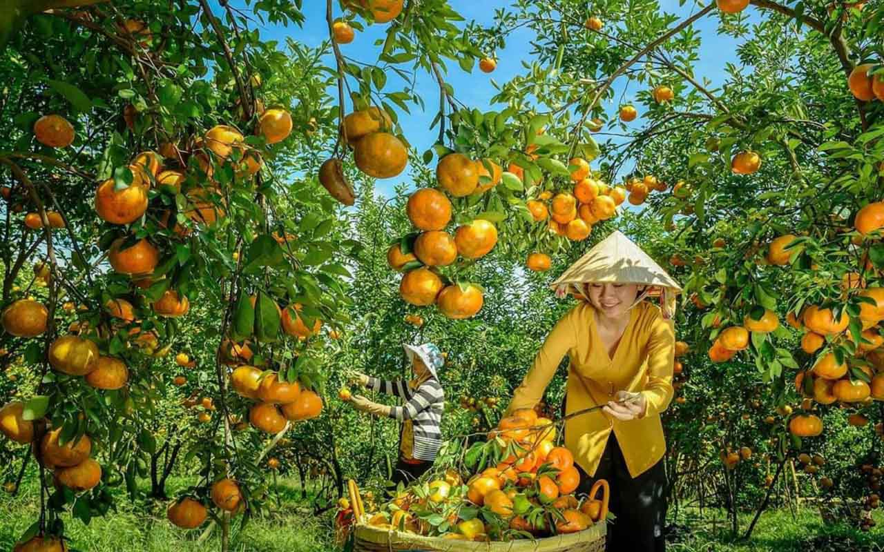 địa điểm du lịch ở đồng tháp