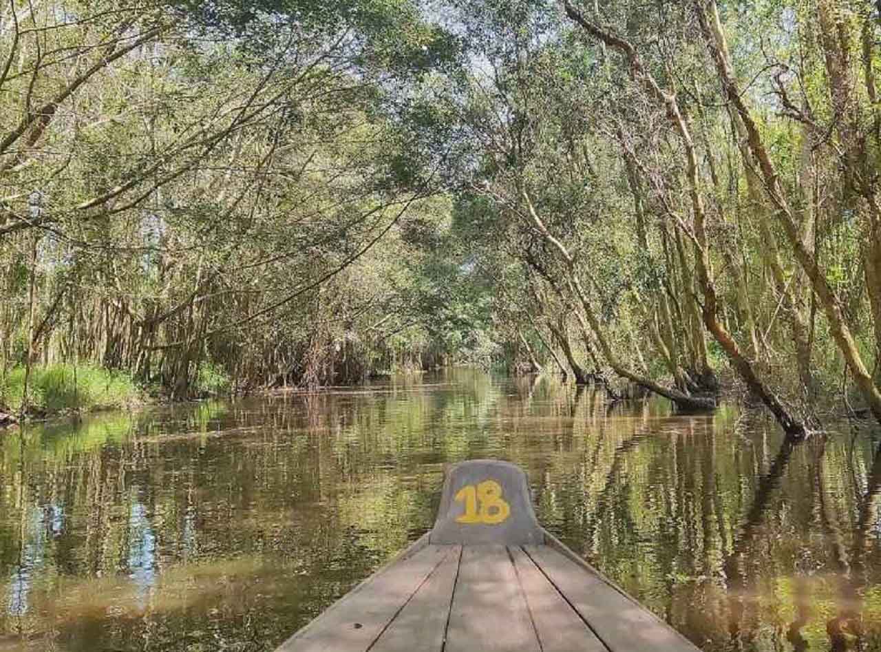 đồng tháp có gì