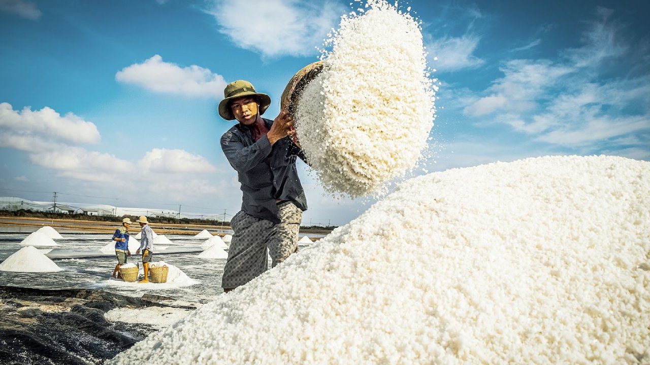 Cánh đồng muối