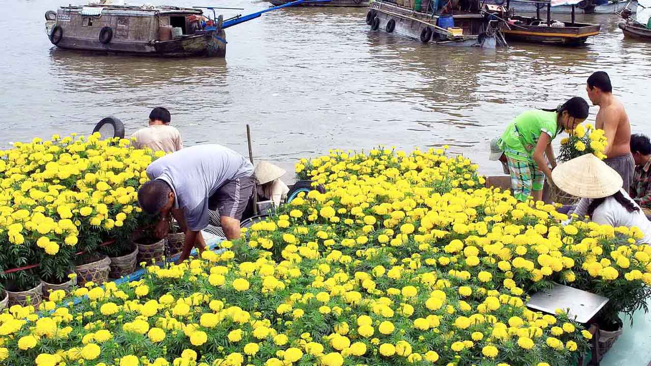 du lịch cà mau có gì
