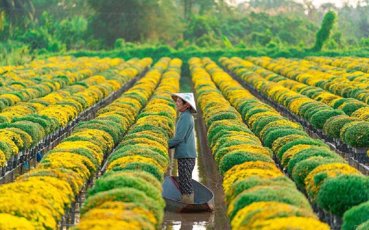 đến du lịch đồng tháp