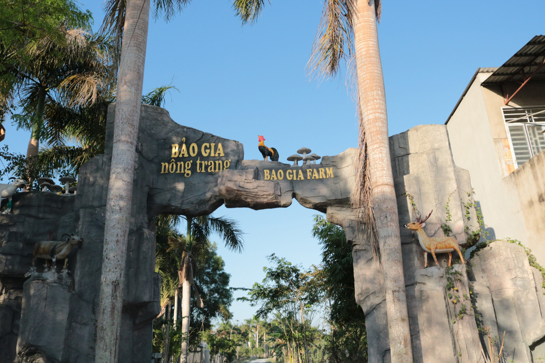 TRẢI NGHIỆM NÔNG TRẠI SẠCH BẢO GIA FARM – HẬU GIANG