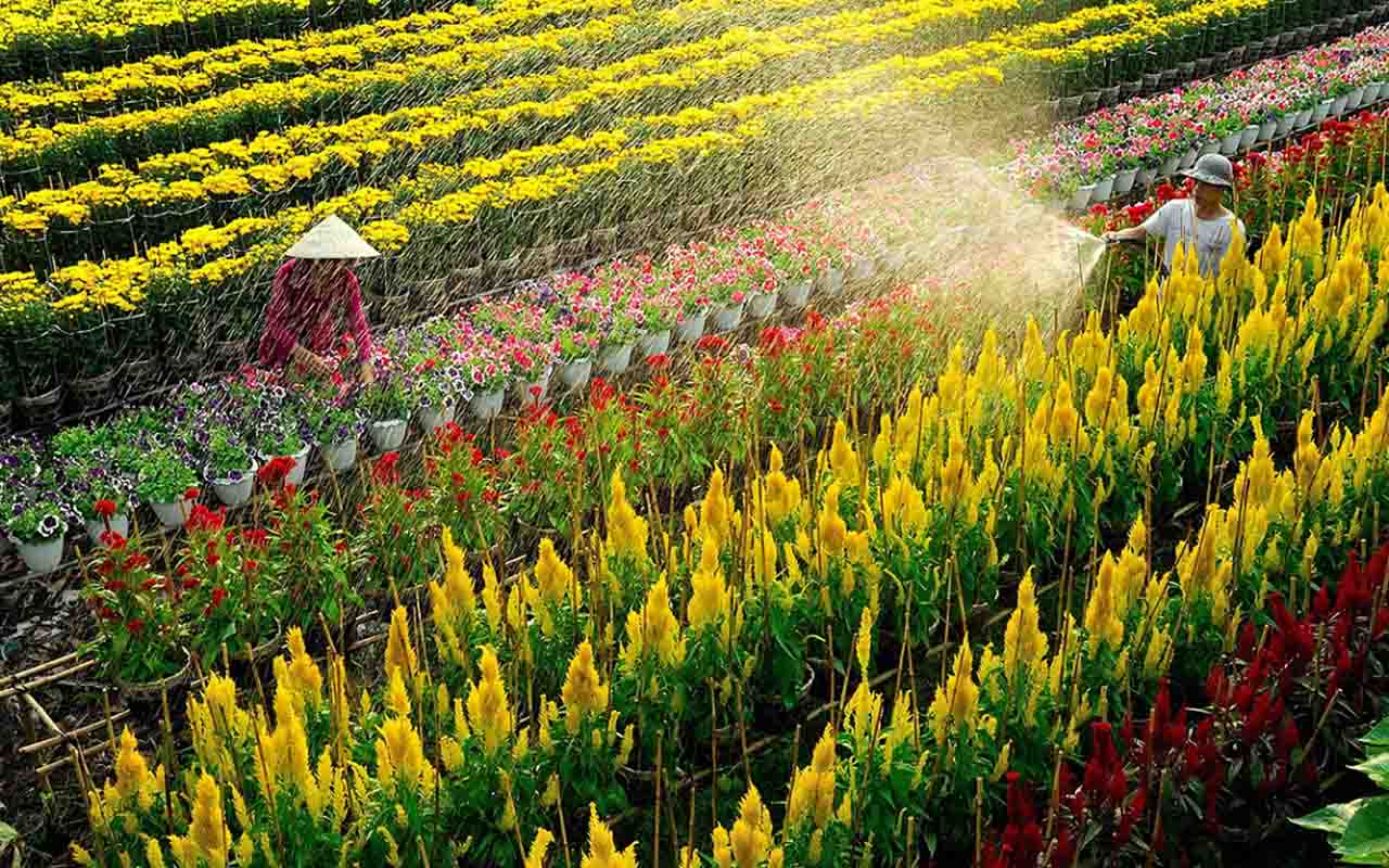 khu du lịch đồng tháp