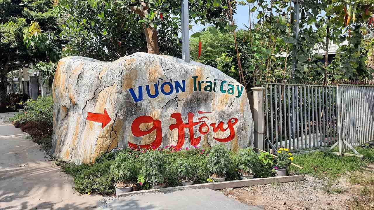 Miệt vườn 9 Hồng