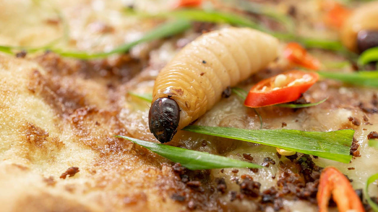 món ăn đặc sản bạc liêu