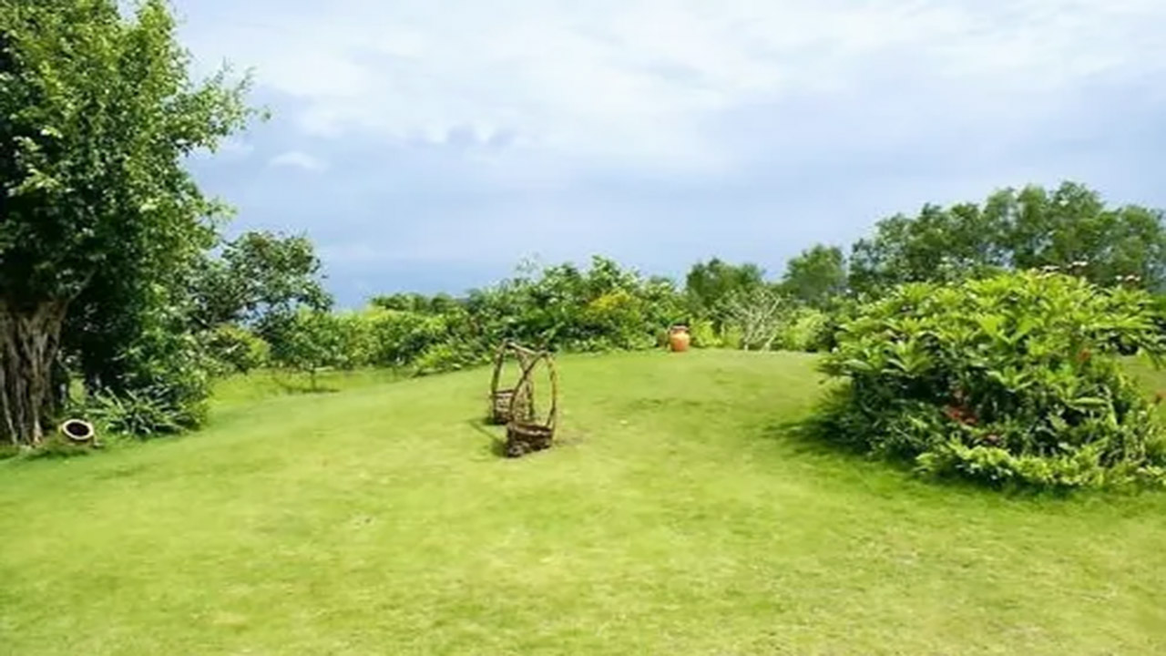 Nhà vườn Thảo Nguyên