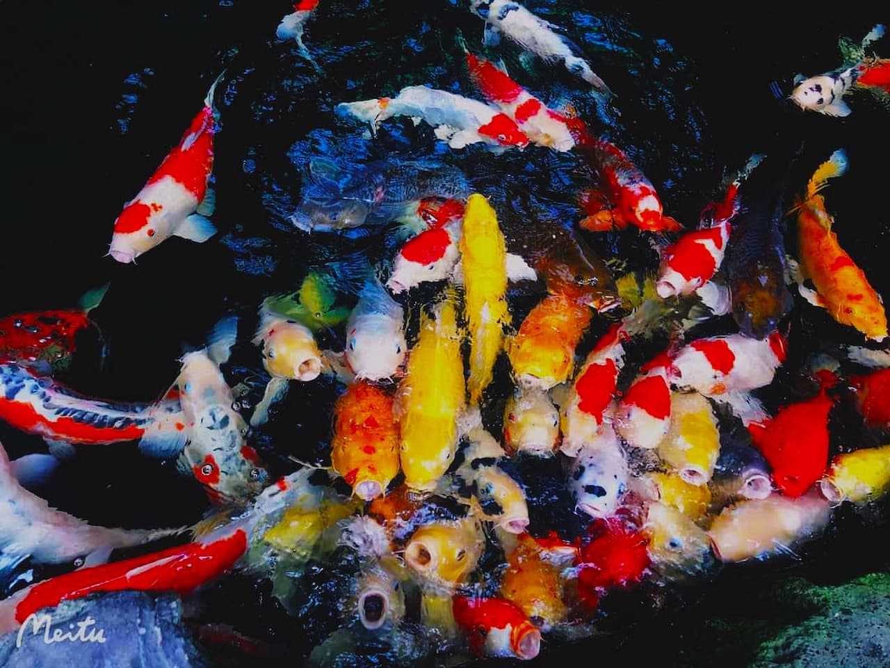 Quán cafe đẹp ở Cần Thơ - Bros coffee 