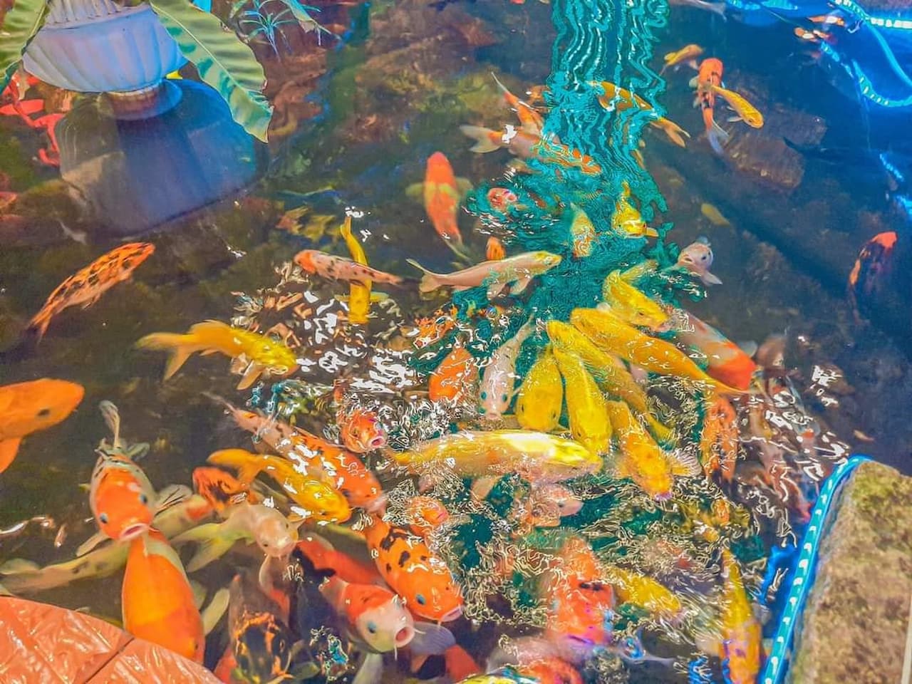 Quán cafe đẹp ở Cần Thơ - Ikoi Coffee 