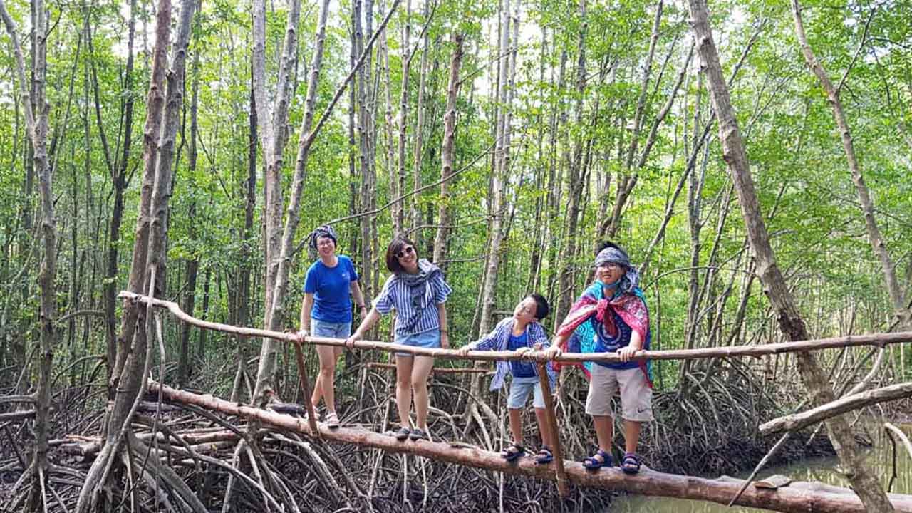 rừng đước năm căn