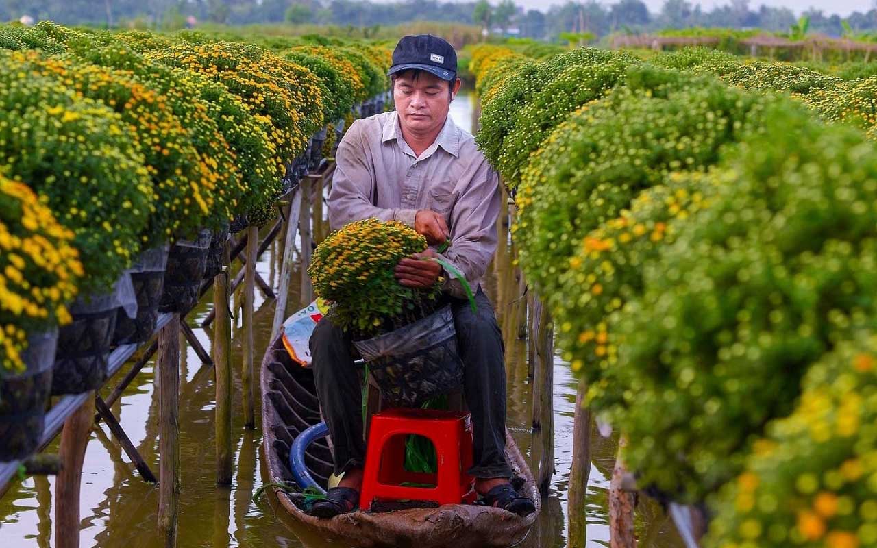 sa đéc có gì chơi