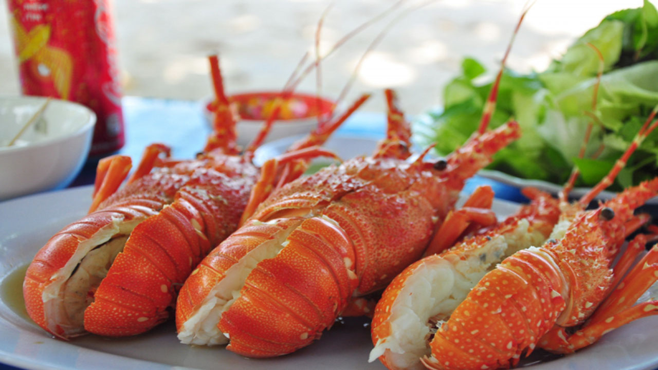 Tôm hùm đỏ Côn Đảo