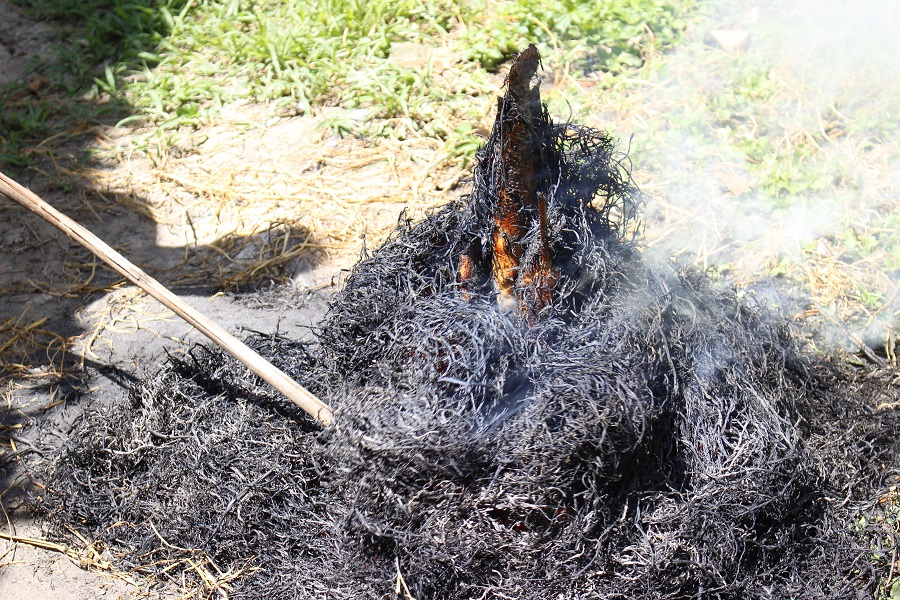CATCHING FISH IN THE Ditch (MS010)