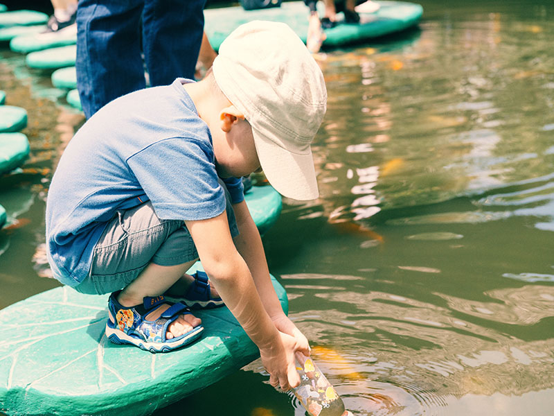 TRẢI NGHIỆM CÁ BÚ BÌNH