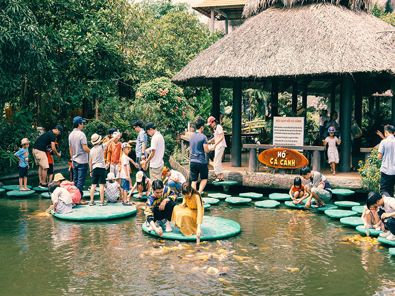 TRẢI NGHIỆM CÁ BÚ BÌNH