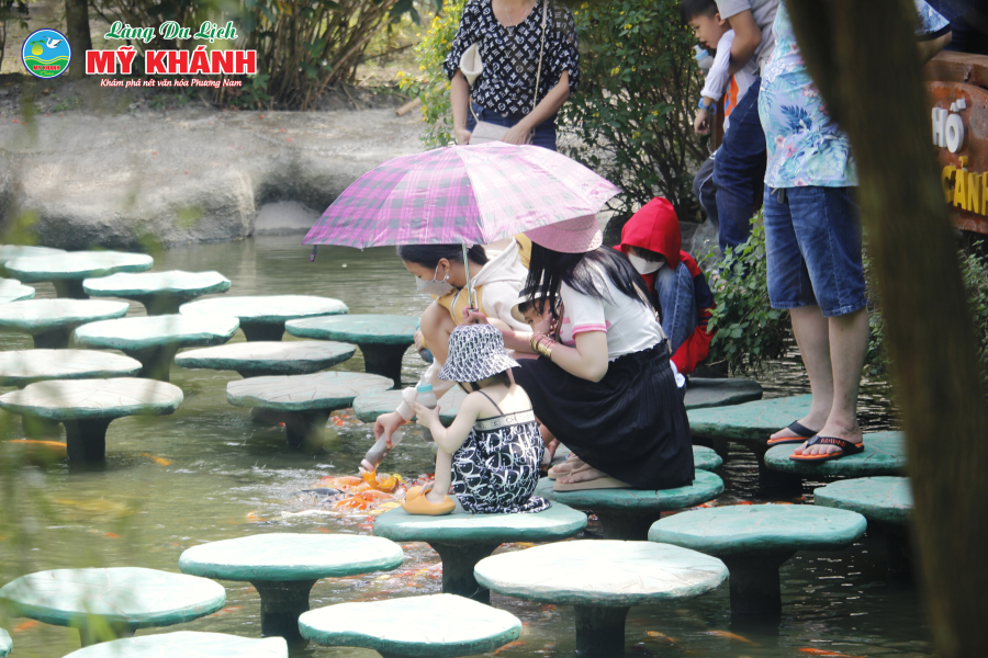 TRẢI NGHIỆM CÁ BÚ BÌNH