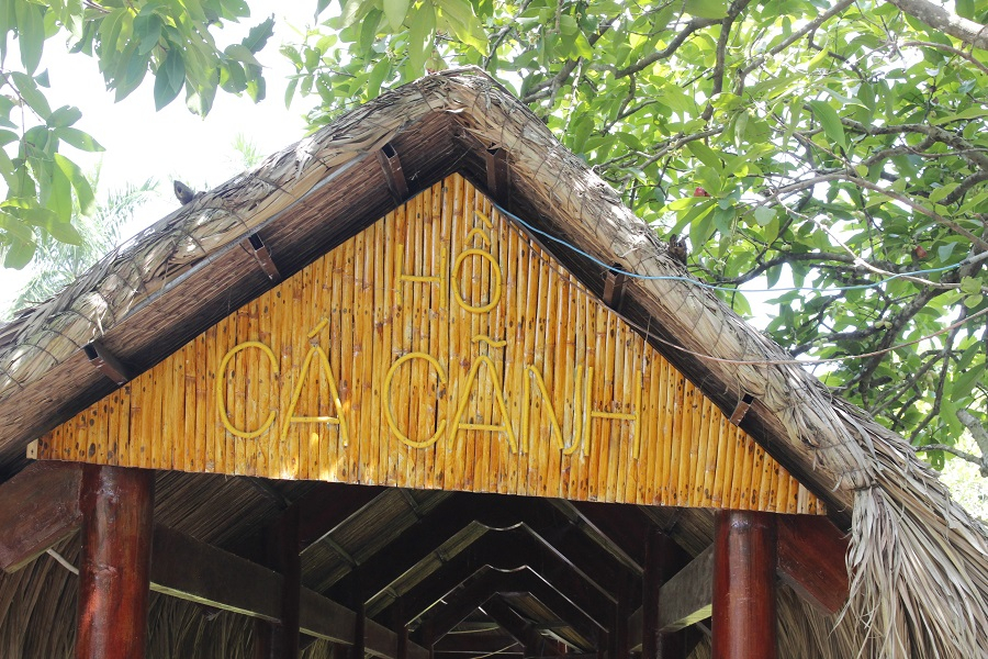 TRẢI NGHIỆM CÁ BÚ BÌNH