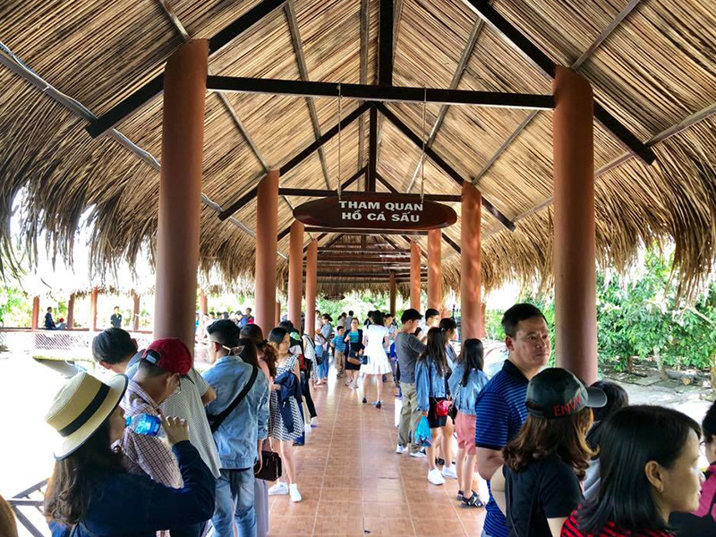 TRẢI NGHIỆM CÂU CÁ SẤU