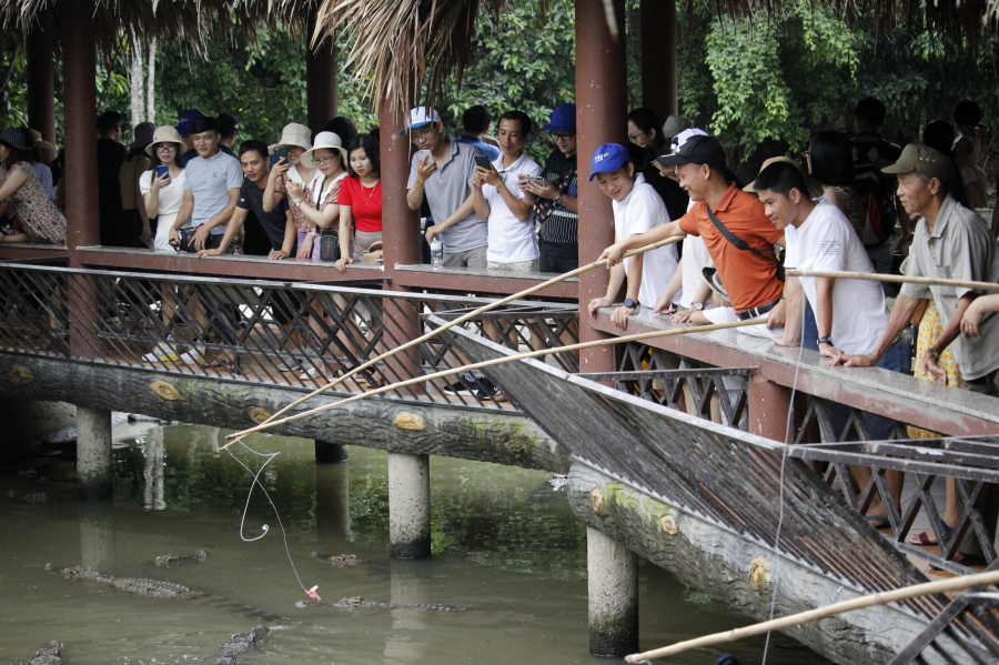 CROCODILE FISHING EXPERIENCE