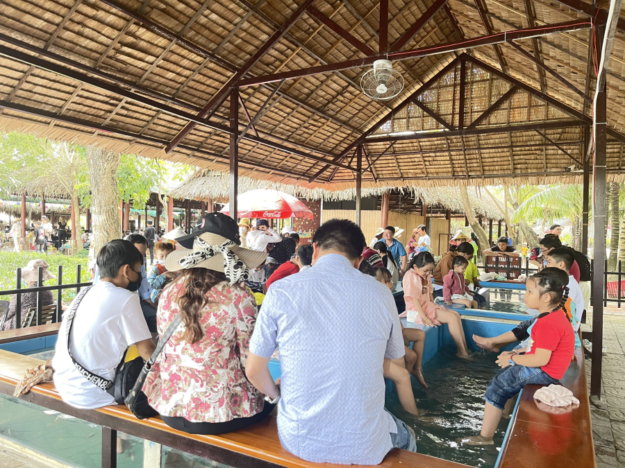 THƯ GIÃN MASSAGE CÁ