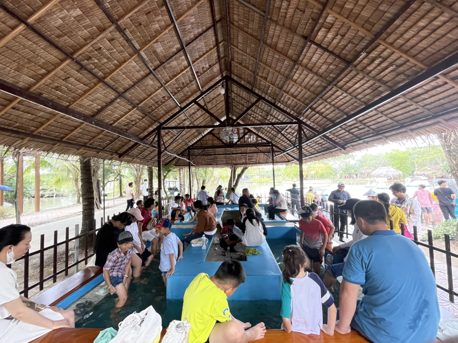 THƯ GIÃN MASSAGE CÁ