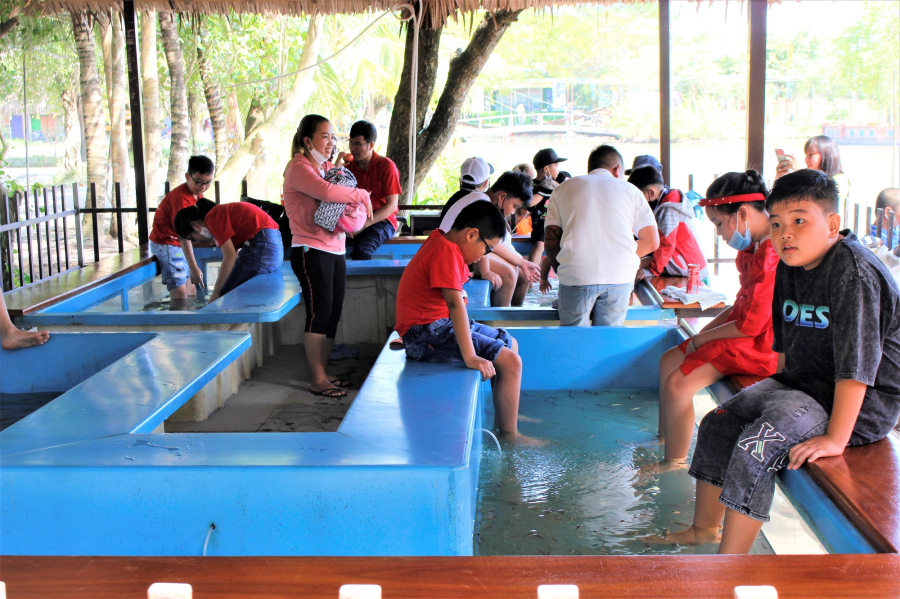 RELAXING FISH MASSAGE