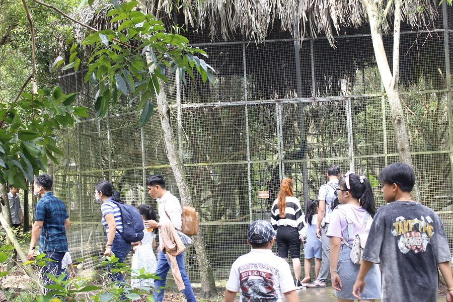 WILD ZOO TOUR