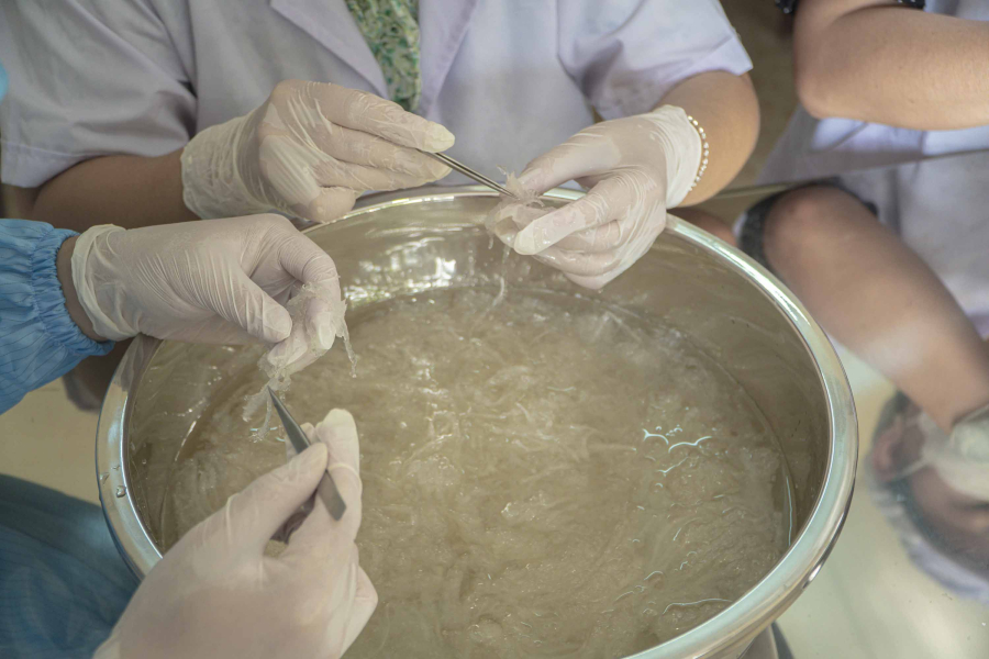 NHÀ YẾN MỸ KHÁNH