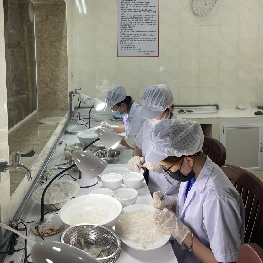 VISIT THE BIRD'S NEST FARMING MODEL AND BIRD'S NEST REFINING AREA