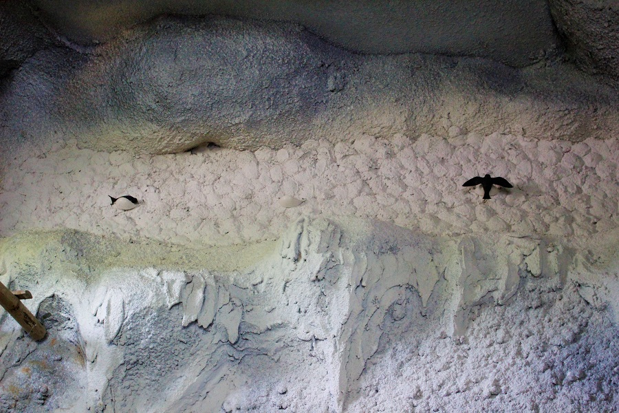 VISIT THE BIRD'S NEST FARMING MODEL AND BIRD'S NEST REFINING AREA